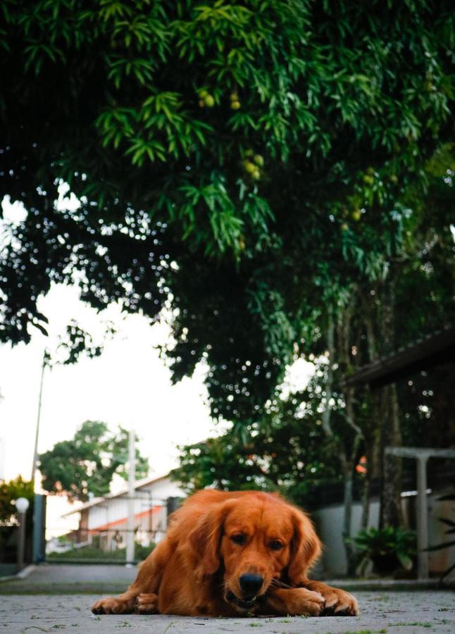 Pousada Encantos De Penha ภายนอก รูปภาพ